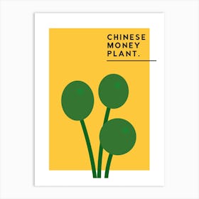 Chinese Money Plant Art Print