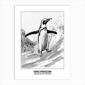 Penguin Hauling Out Of The Water Poster 10 Art Print