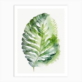 Soft Shield Fern 3 Watercolour Art Print