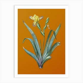 Vintage Hungarian Iris Botanical on Sunset Orange n.0539 Art Print