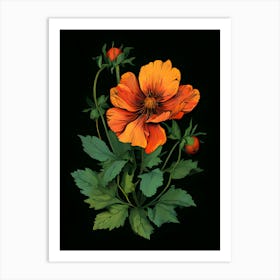 Orange Poppy Art Print