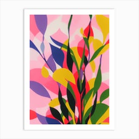 Hoya Colourful Illustration Art Print