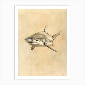 Vintage Tiger Shark Pencil Illustration 1 Art Print