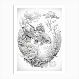 Hikari Moyo Koi Fish Haeckel Style Illustastration Art Print