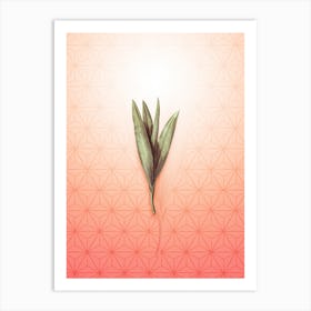 Autumn Crocus Vintage Botanical in Peach Fuzz Asanoha Star Pattern n.0134 Art Print