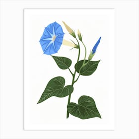 Morning Glory 3 Art Print