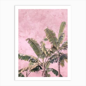 Banana Trees On A Pink Wall Art Print