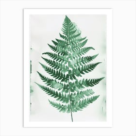 Green Ink Painting Of A Sensitive Fern 1 Art Print