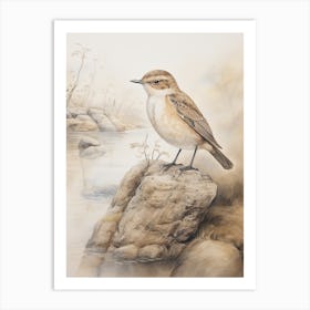 Vintage Bird Drawing Dipper 1 Art Print