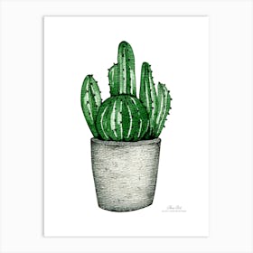 Aloe vera plant. Green plant. Beautiful plant. Thorns plant. Aloe vera flowers.25 Art Print