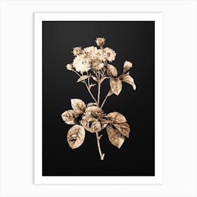 Gold Botanical Pink Rosebush on Wrought Iron Black n.2657 Art Print