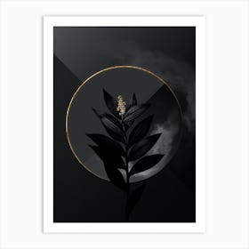 Shadowy Vintage Smilacina Stellata Botanical on Black with Gold n.0149 Art Print