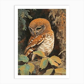 Northern Pygmy Owl Relief Illustration 2 Art Print