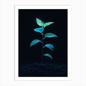 Small Green Plant On Black Background 20 Art Print