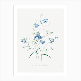 Campanule, Pierrejoseph Redouté Art Print