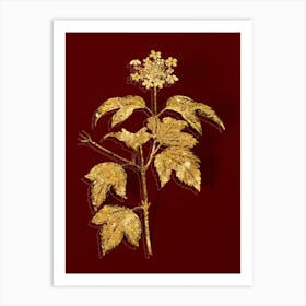 Vintage Guelder Rose Botanical in Gold on Red n.0537 Art Print