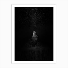 Eagle In The Night Art Print