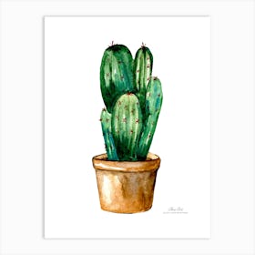 Aloe vera plant. Green plant. Beautiful plant. Thorns plant. Aloe vera flowers.18 Art Print