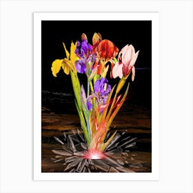 Irises Art Print