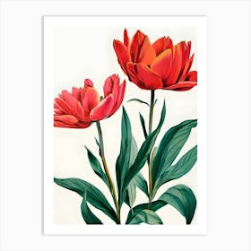 Red Tulips 1 Art Print