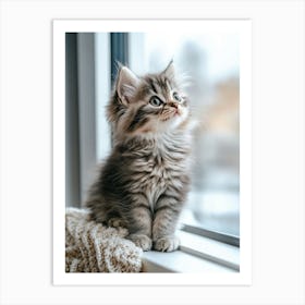 Kitten Looking Out Of Window Art Print