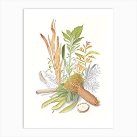 Ginger Root Spices And Herbs Pencil Illustration 1 Art Print