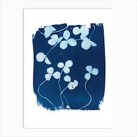 Clover Botanical Cyanotype Blue Art Print