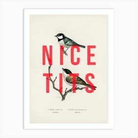 Nice Birds Art Print