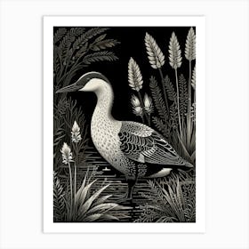 Duck In Water Art Print