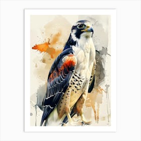 Falcon Colorful Illustration Art Print