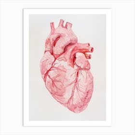 Human Heart 2 Art Print