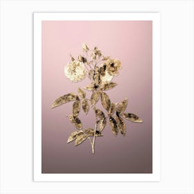 Gold Botanical Hudson Rose on Rose Quartz n.3242 Art Print