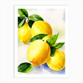 Lemon Italian Watercolour fruit Art Print