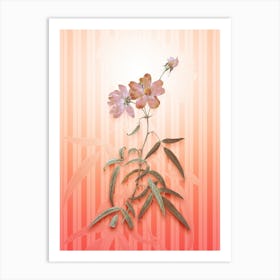 Peach Leaved Rose Vintage Botanical in Peach Fuzz Awning Stripes Pattern n.0153 Art Print