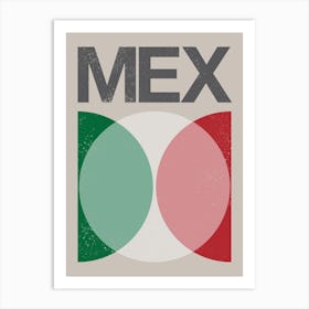 Mexico Flag Art Print