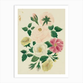 Chinese Roses Art Print