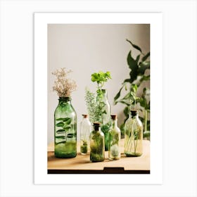 Botanical Bottles Art Print