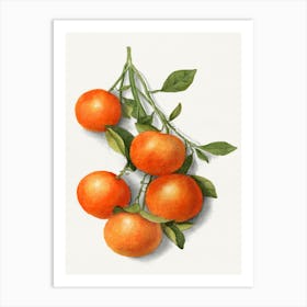 Tangerines Art Print