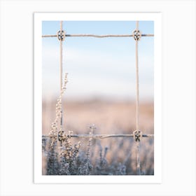 Frozen Plants And Fence Art Print