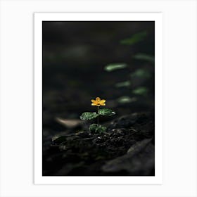 Single Yellow Flower 55 Art Print