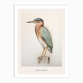 Vintage Bird Drawing Green Heron 2 Poster Art Print