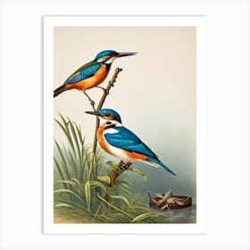 Kingfisher James Audubon Vintage Style Bird Art Print