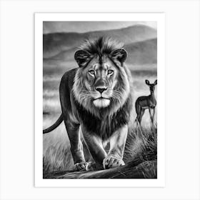 Lion Hunting Black And White Affiche