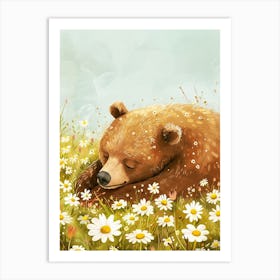Brown Bear Resting In A Field Of Daisies Storybook 3 Art Print
