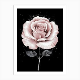 Pink Rose 1 Art Print