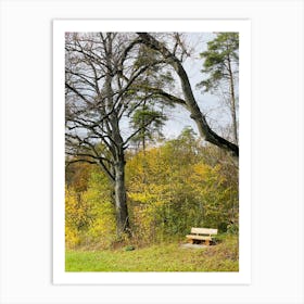 Bench In A Park 1 Art Print