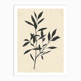 Branch Of Olives Art Print