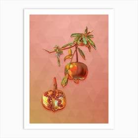 Vintage Pomegranate Botanical Art on Peach Pink Art Print