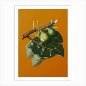 Vintage Fig Botanical on Sunset Orange n.0219 Art Print