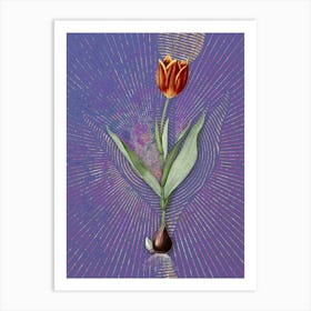 Vintage Tulip Botanical Illustration on Veri Peri n.0475 Art Print